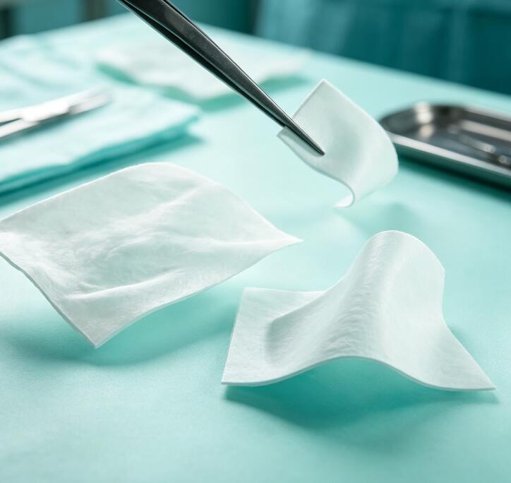 Aesculap Lyoplant? Onlay 生物硬膜补片